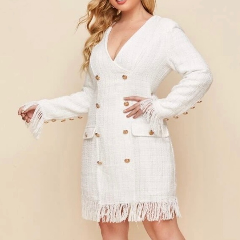 Double Button Fringe Hem Tweed Dress